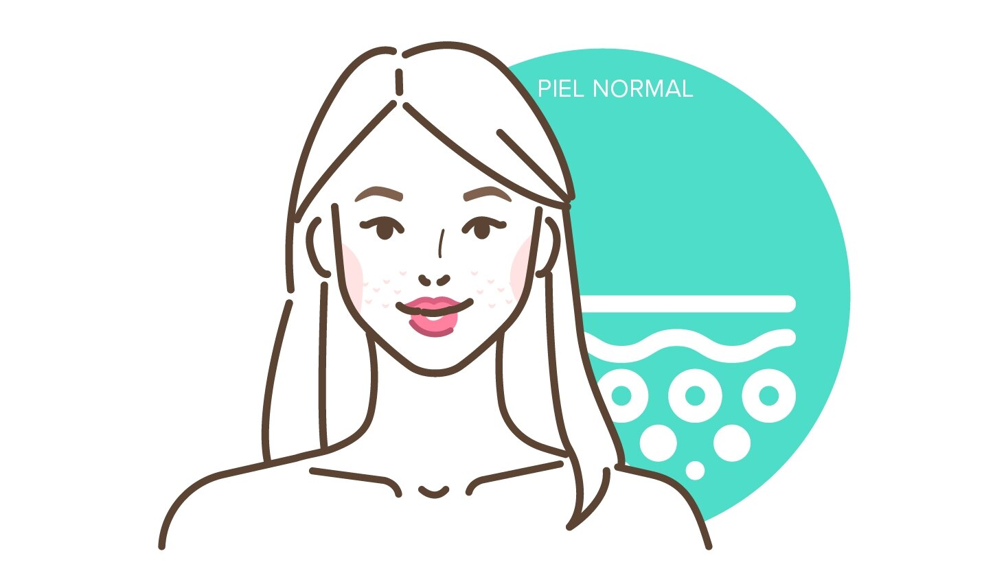 Figura piel normal