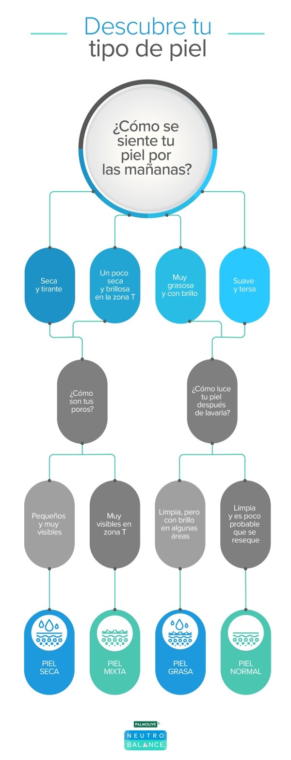 Infografico tipo de piel
